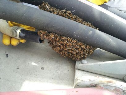 Structural pest work at a commercial industrial site
