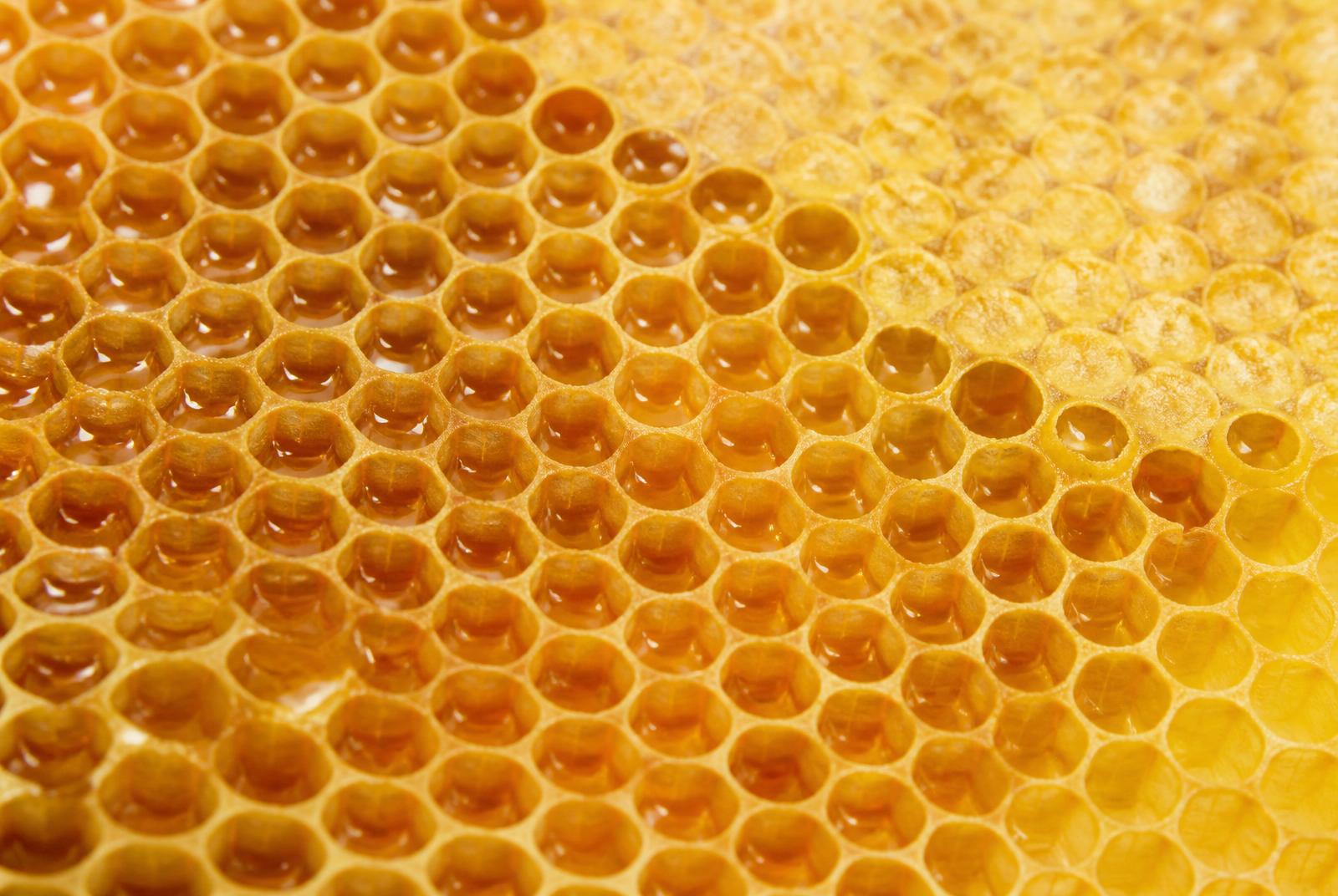 Close-up of honeycomb inside a hive