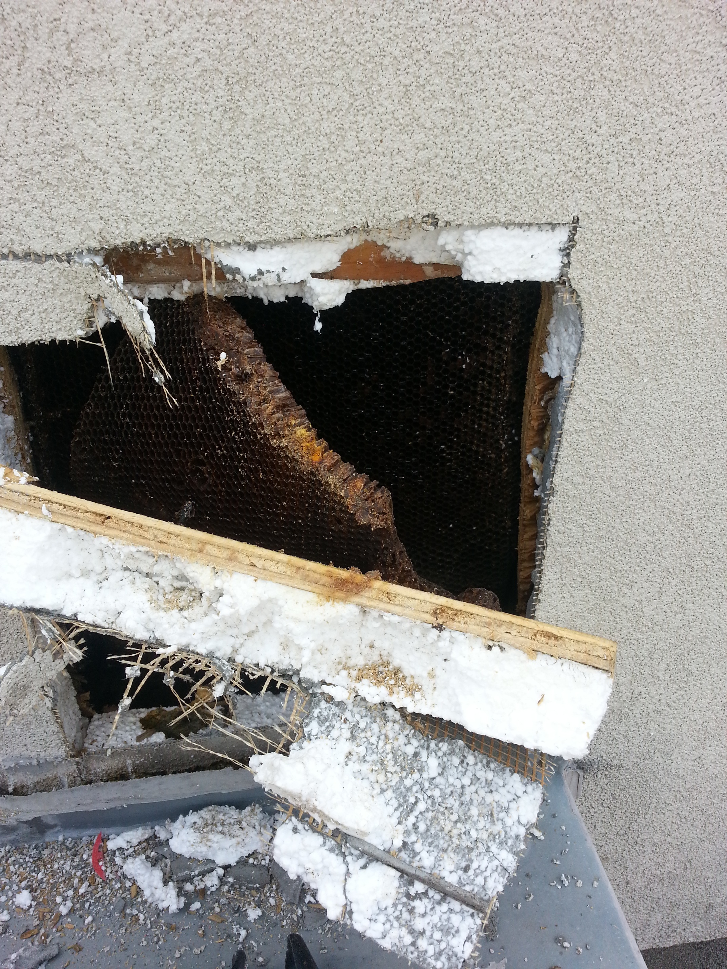 Industrial pest control at a commercial facility