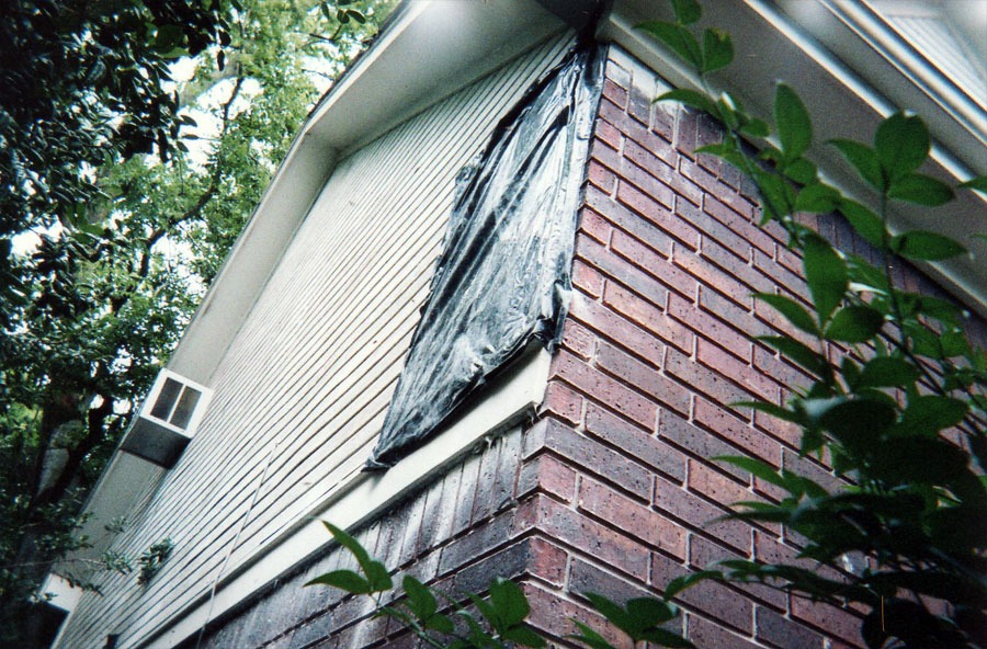Bee & honeycomb removal — in-progress customer project